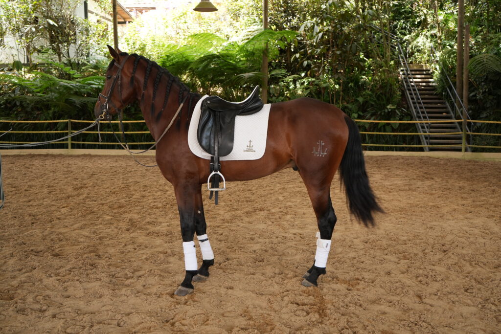 AQUILES LQ