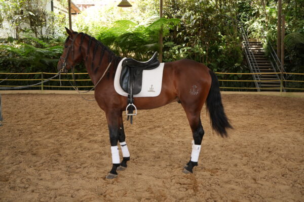 AQUILES LQ