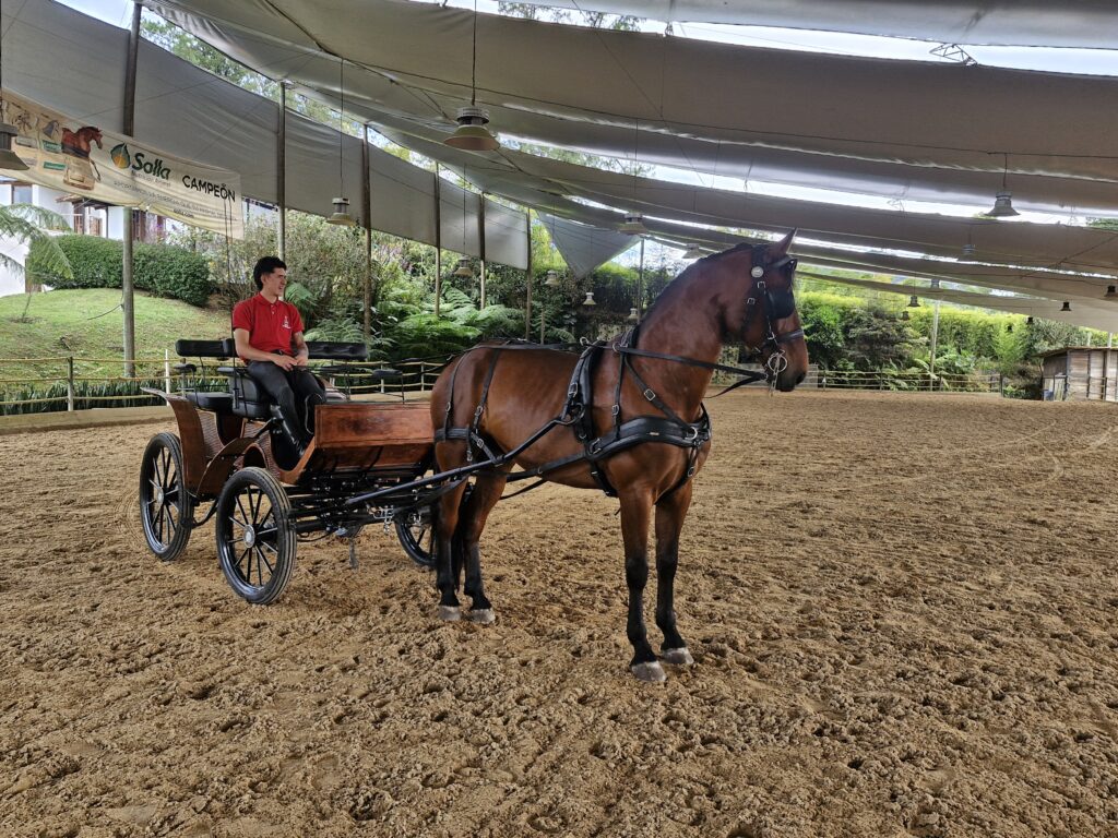 REVOLTOSO